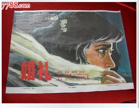 法国护照假的哪里有
